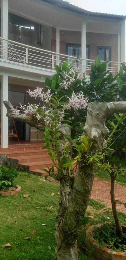 Villa Linkin House Phu Quoc Esterno foto
